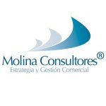 MOLINA CONSULTORES Antonio Molina Anton