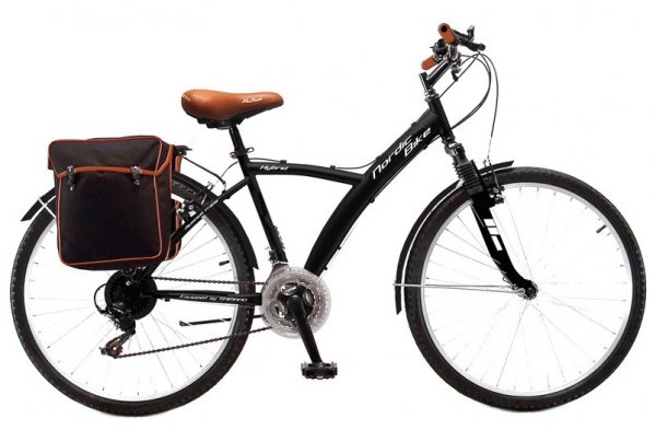 Bicicleta de paseo