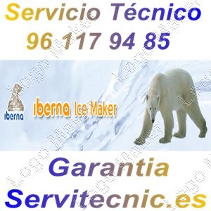 IBERNA Servicio Oficial Castellon 96 117 94 85