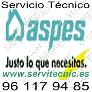 ASPES Alicante 961179485 Servicio Tecnico Oficial