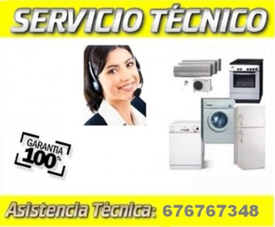 Servicio Técnico Aeg Caldes de Montbui 932060655