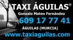 TAXI ÁGUILAS®