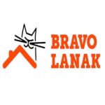 Bravo Lanak. Reparación de tejados Bilbao